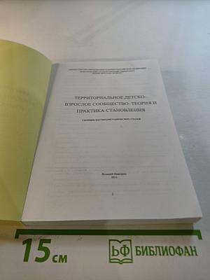 Территориальное детско-взрослое сообщество: теория и практика становления. Сборник научно-методических статей