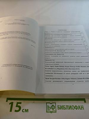 Территориальное детско-взрослое сообщество: теория и практика становления. Сборник научно-методических статей