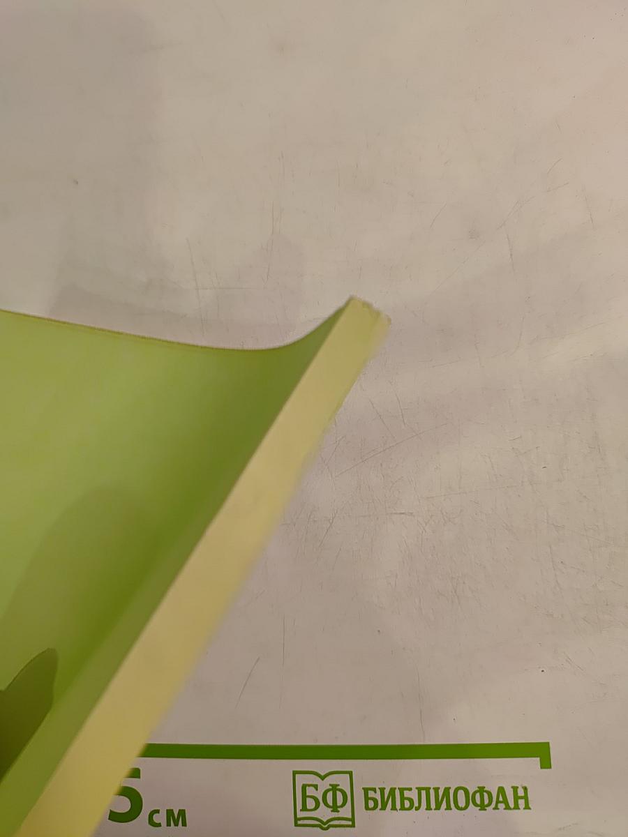 Альтернативные модели воспитания в сравнительной педагогике Ч. II