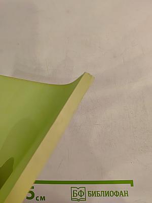 Альтернативные модели воспитания в сравнительной педагогике Ч. II