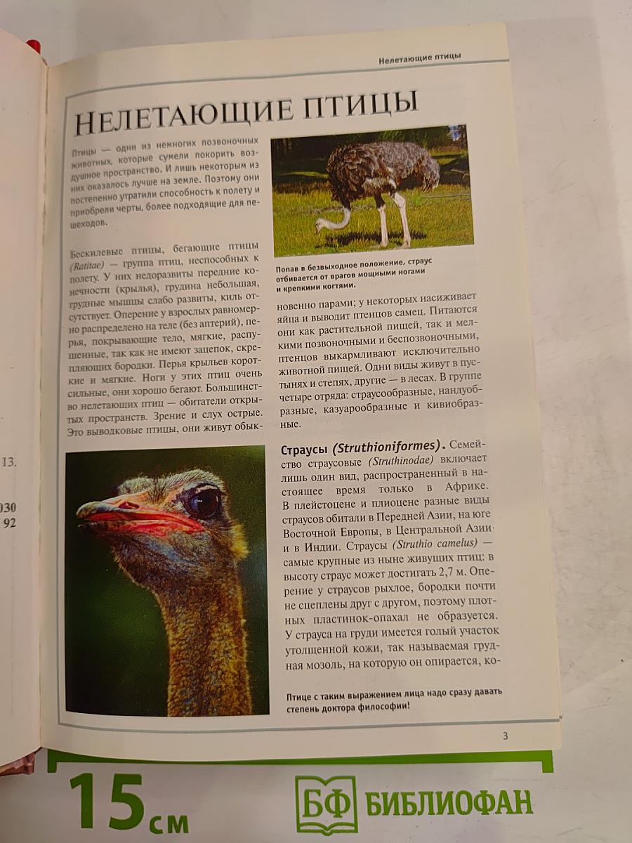 Большая иллюстрированная энциклопедия. Том 13: Кие-Кон