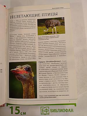 Большая иллюстрированная энциклопедия. Том 13: Кие-Кон