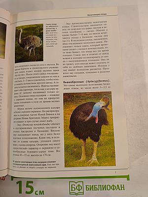 Большая иллюстрированная энциклопедия. Том 13: Кие-Кон