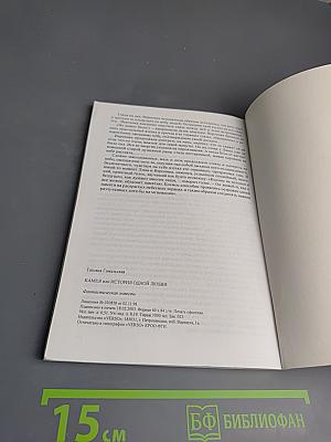 Камея или История одной любви. Начало Галактической Эры