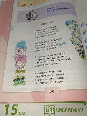 Литературное чтение. 3 класс. Часть 2