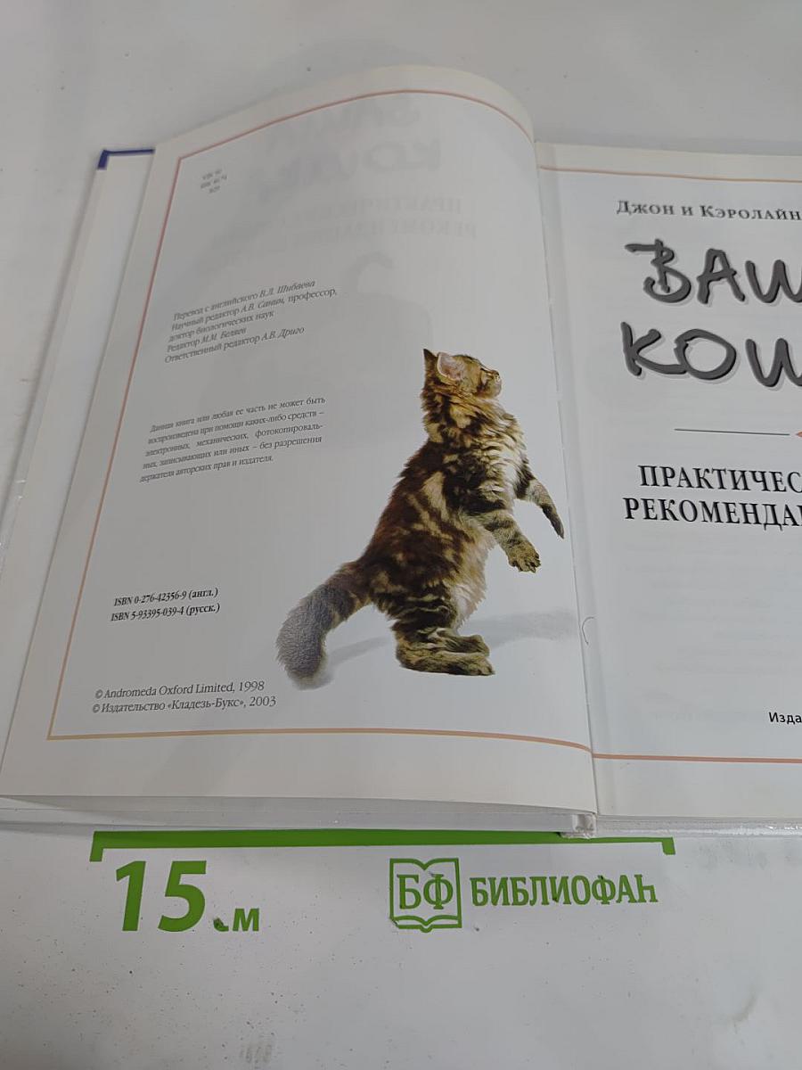 Ваша кошка: Практические советы и рекомендации по уходу