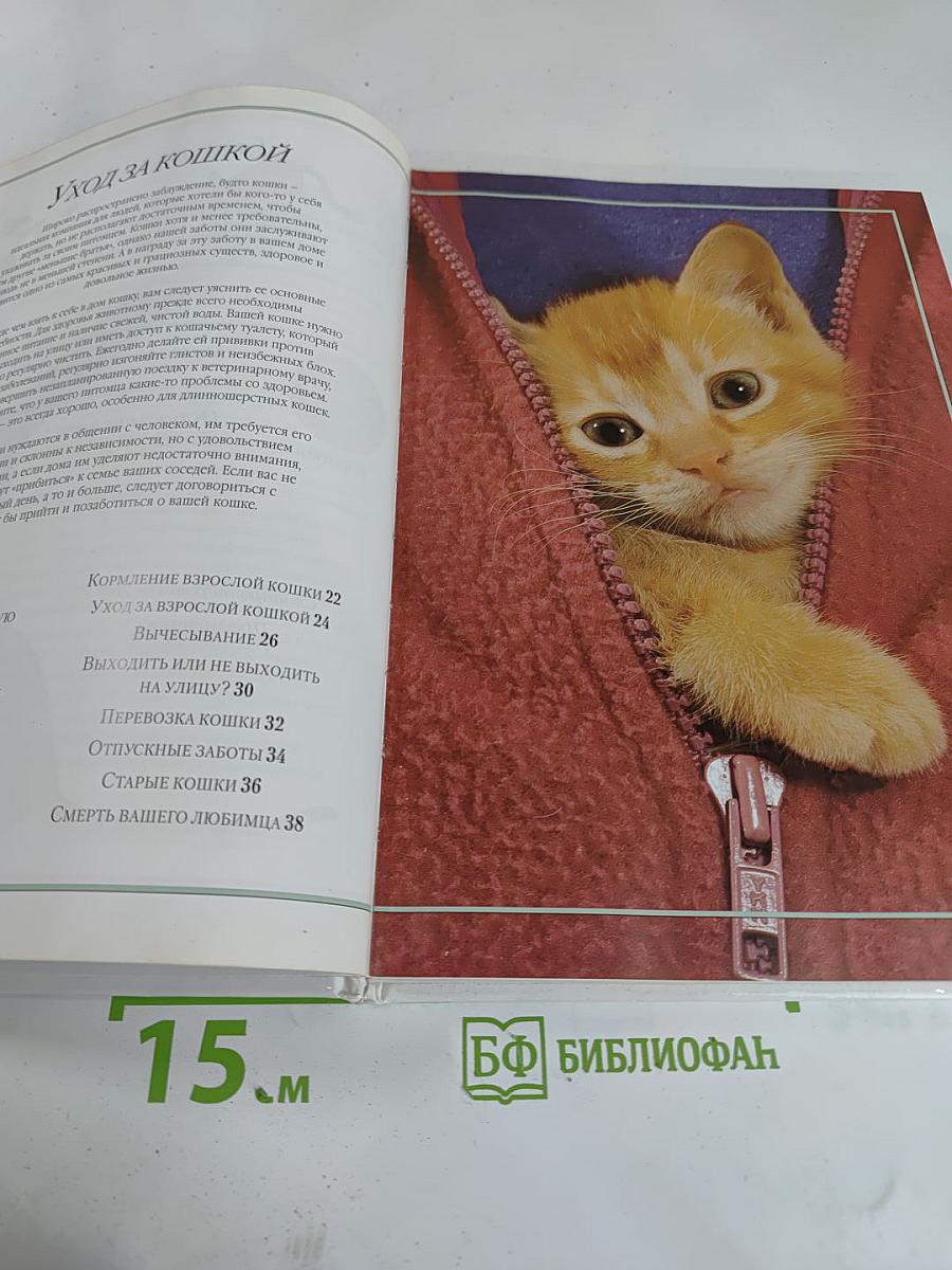 Ваша кошка: Практические советы и рекомендации по уходу