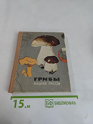 Грибы наших лесов