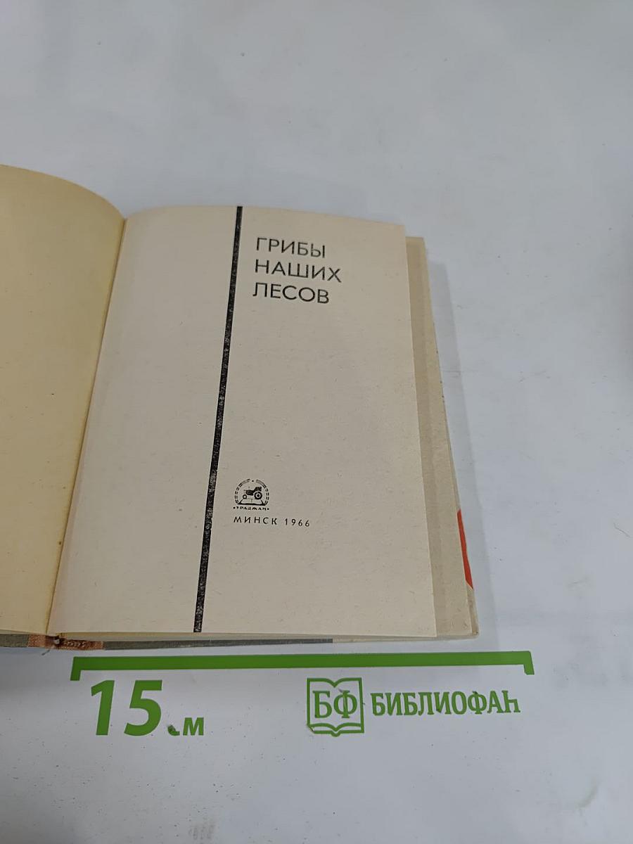 Грибы наших лесов