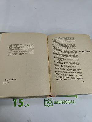 Грибы наших лесов