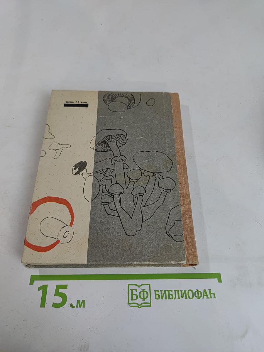 Грибы наших лесов