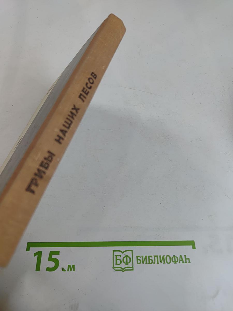 Грибы наших лесов