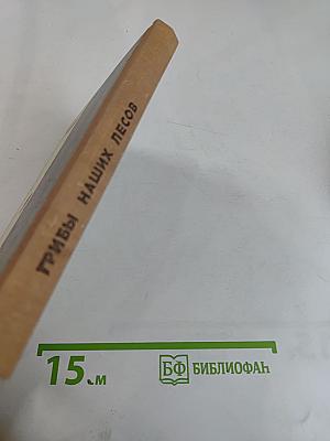 Грибы наших лесов