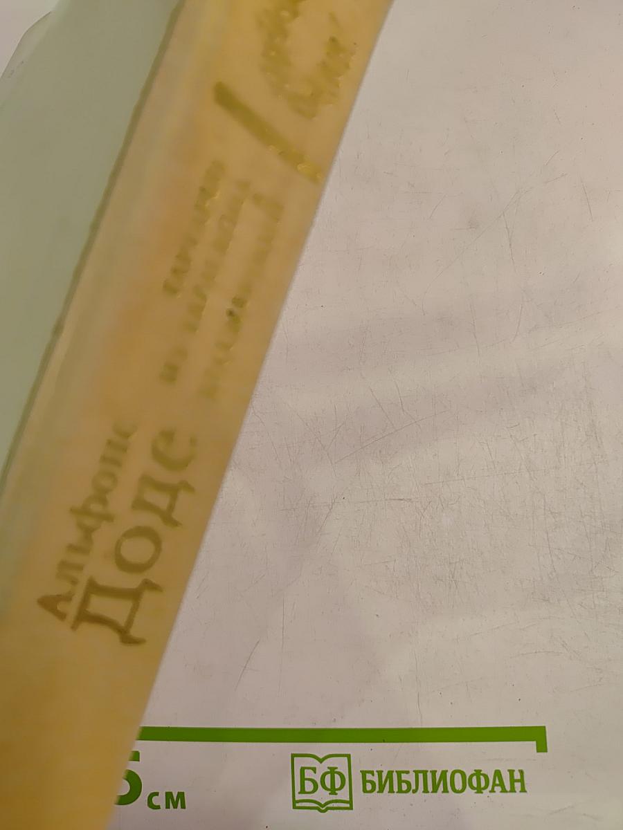 Тартарен из Тараскона. Бессмертный