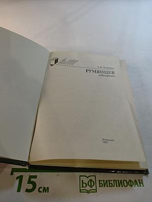 Румянцев в Петербурге