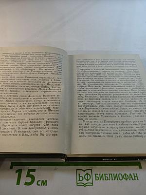 Румянцев в Петербурге