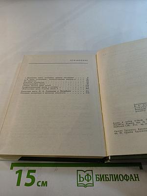 Румянцев в Петербурге