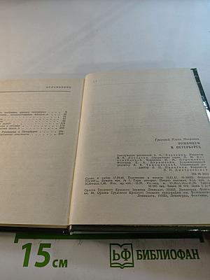 Румянцев в Петербурге