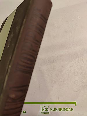 Крошка Доррит. Книга вторая. Богатство