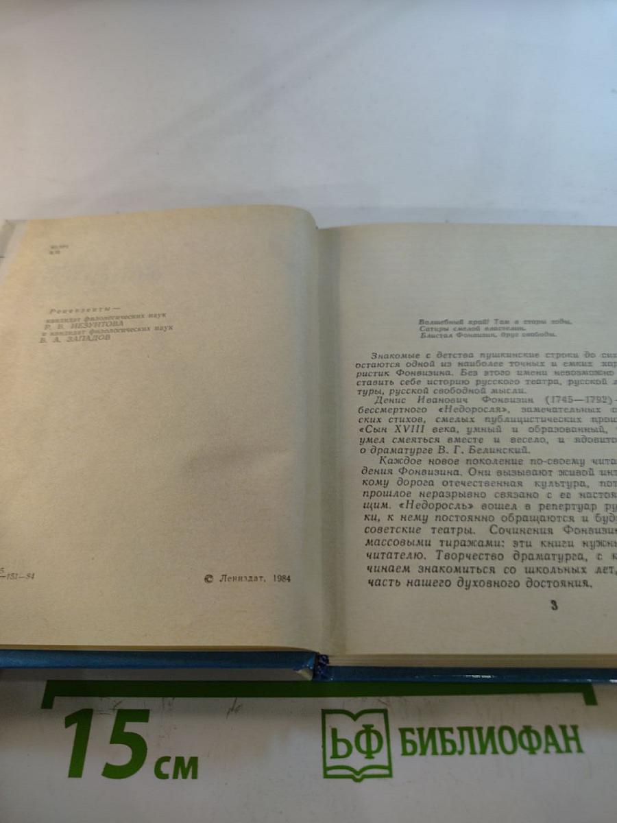 Фонвизин в Петербурге
