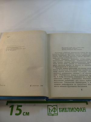 Фонвизин в Петербурге