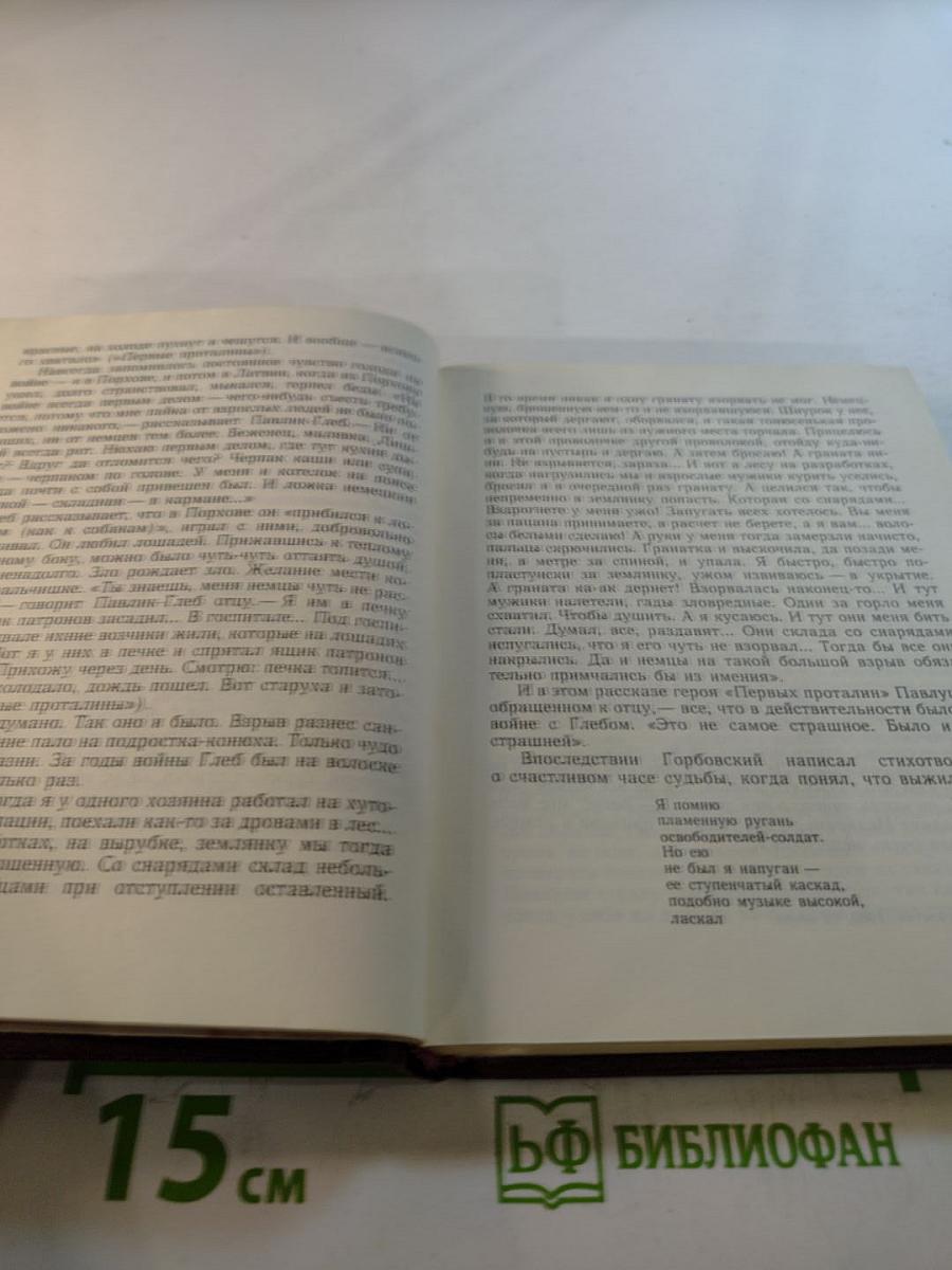Глеб Горбовский: Портрет современника
