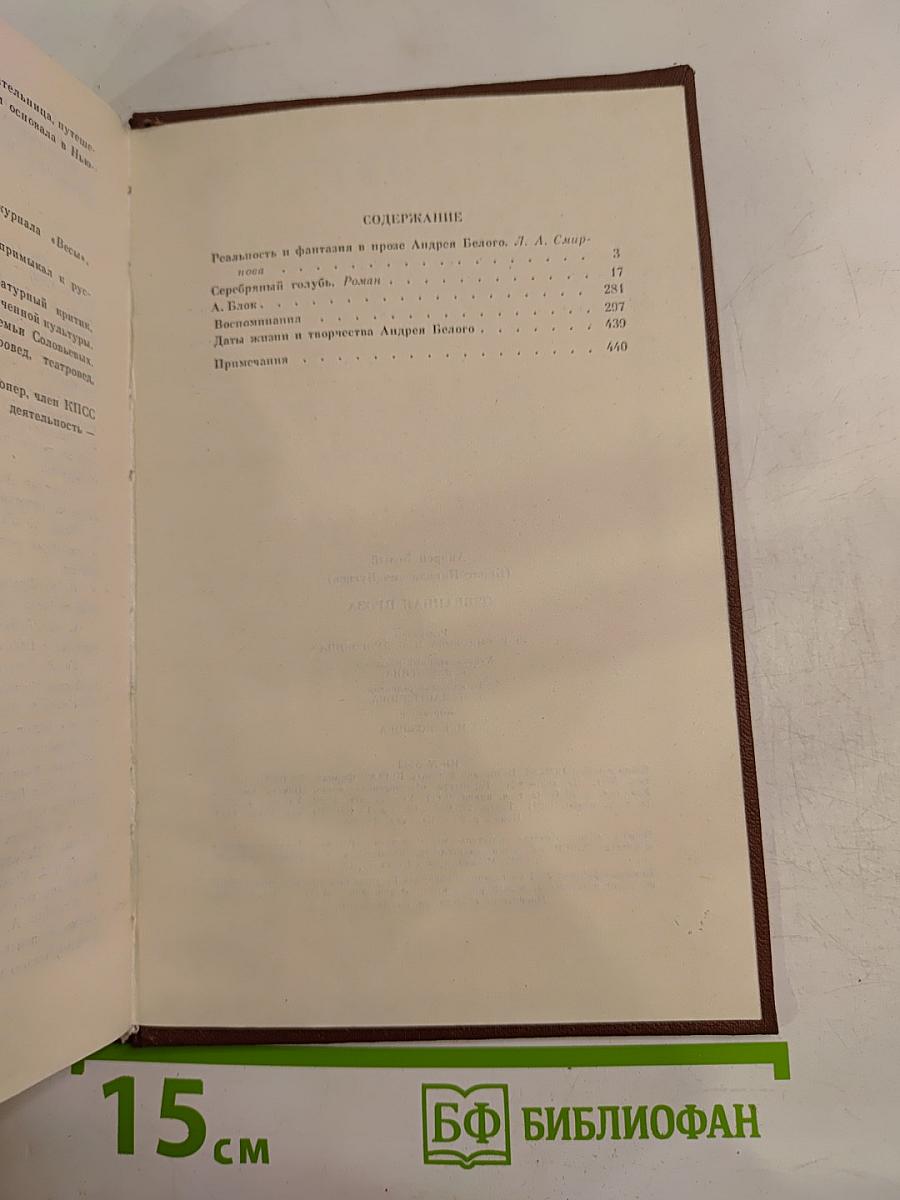 Андрей Белый. Избранная проза