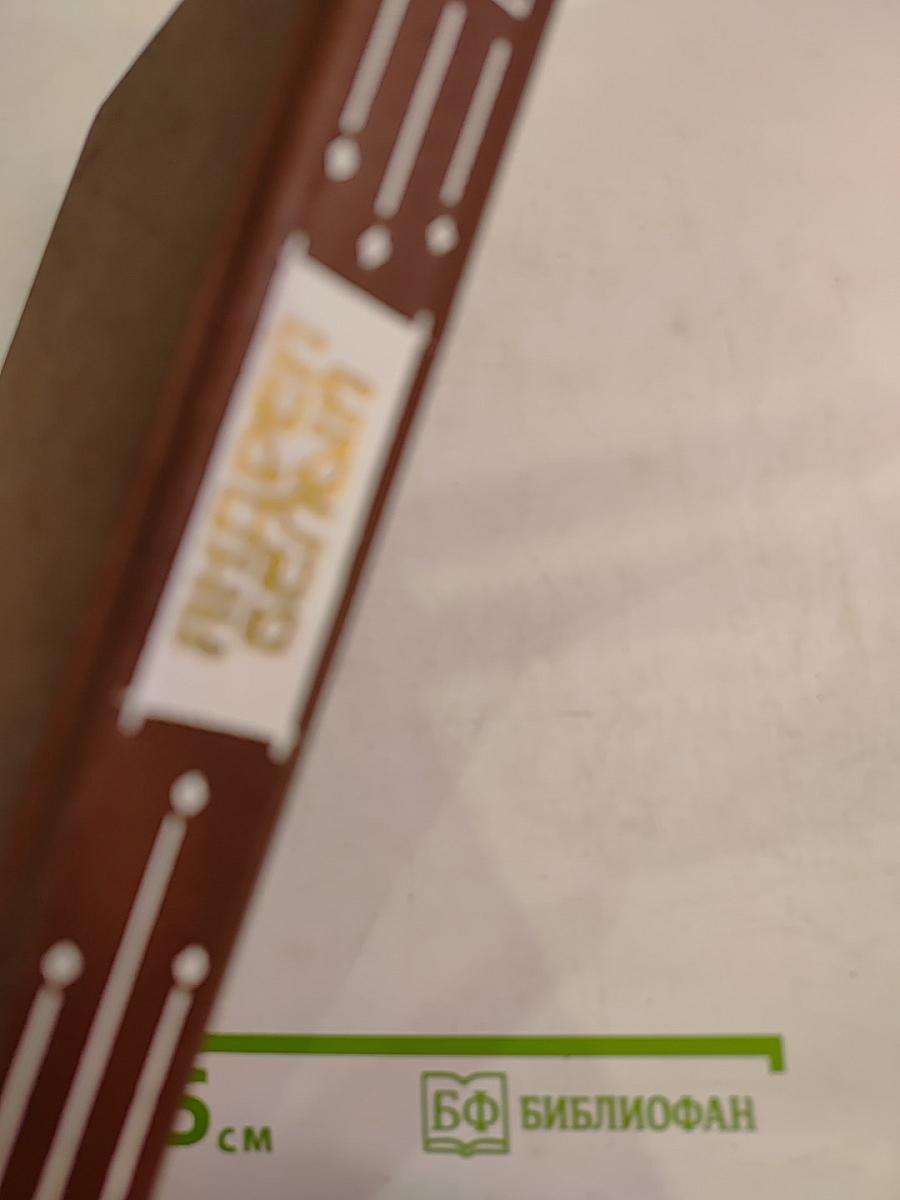 Андрей Белый. Избранная проза