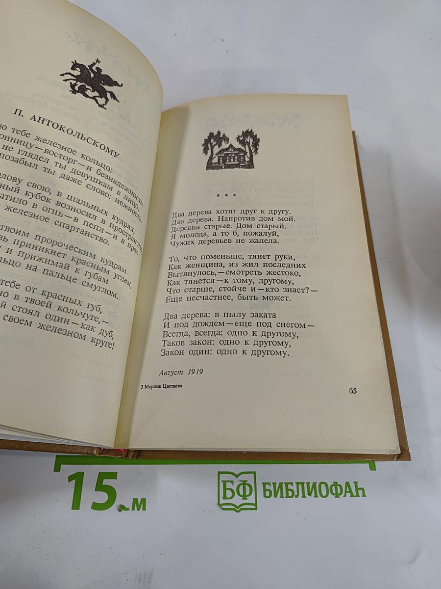 Стихотворения. пьесы