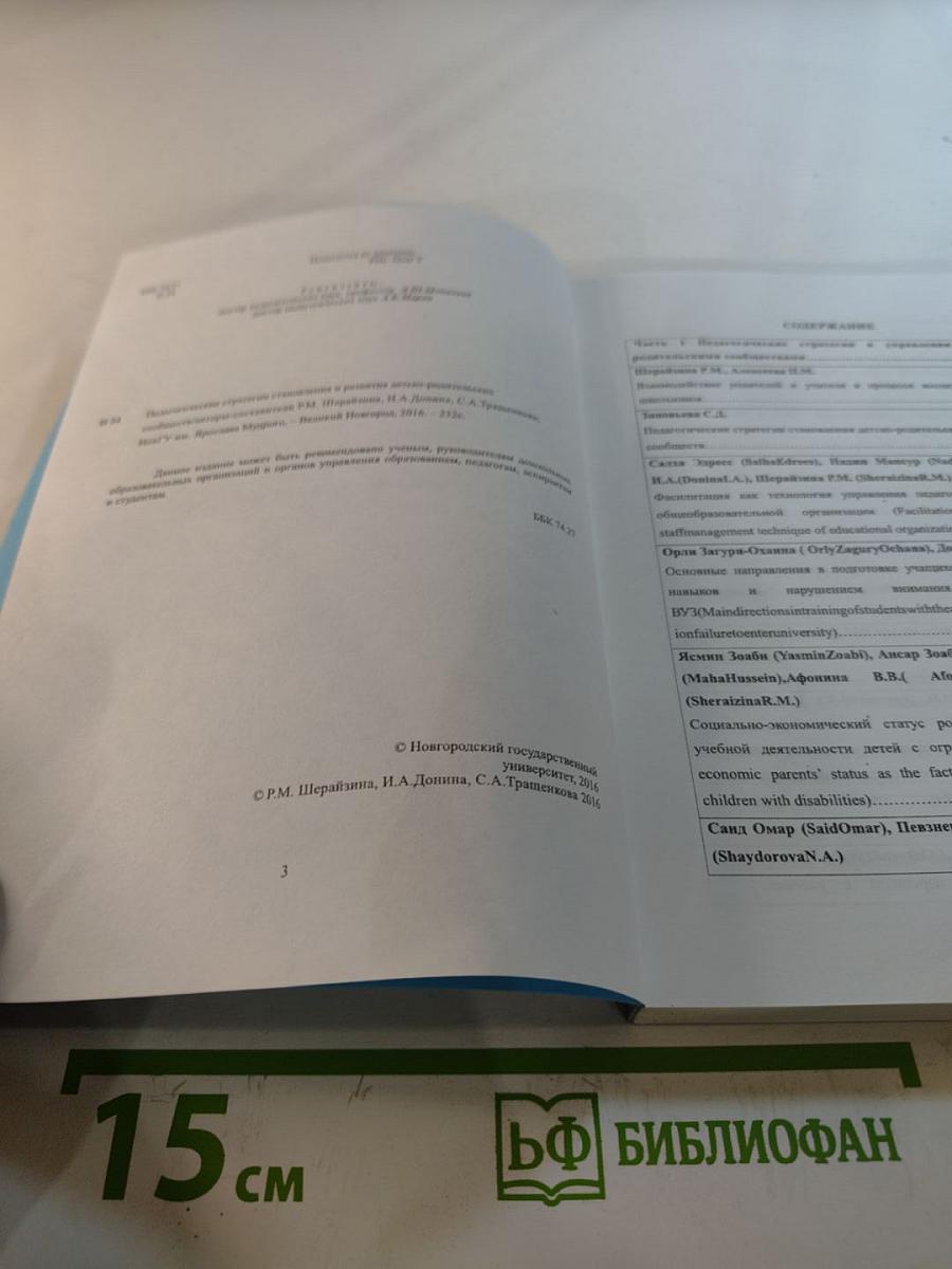Педагогические стратегии становления и развития детско-родительских сообществ