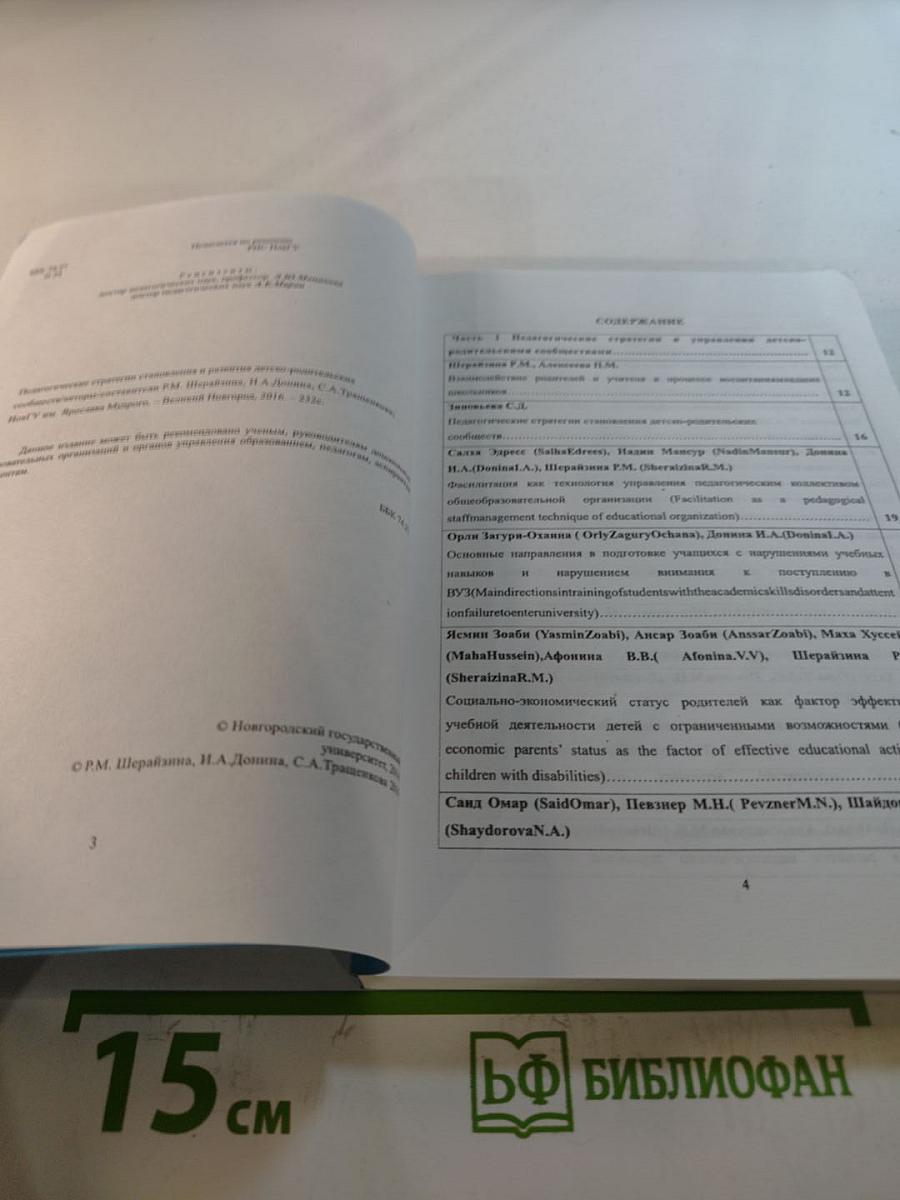 Педагогические стратегии становления и развития детско-родительских сообществ