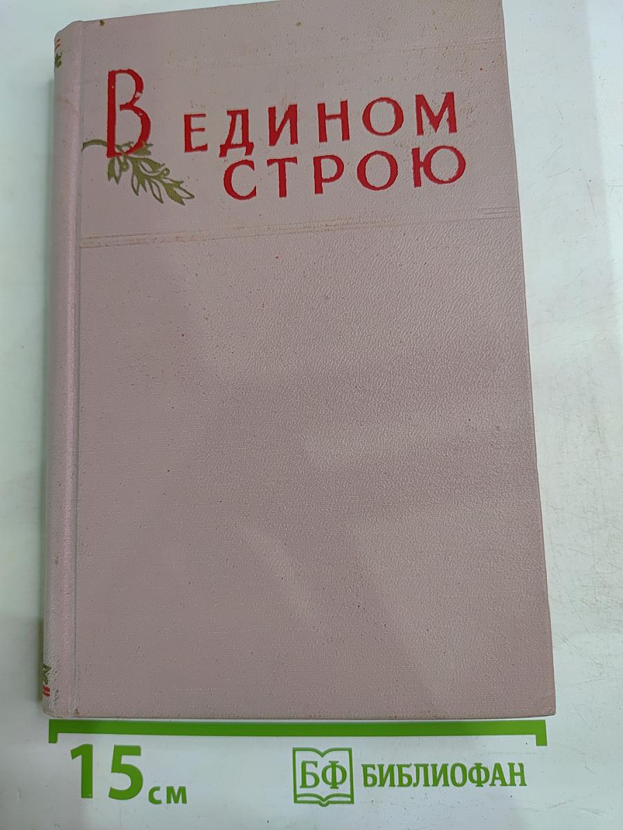 В едином строю