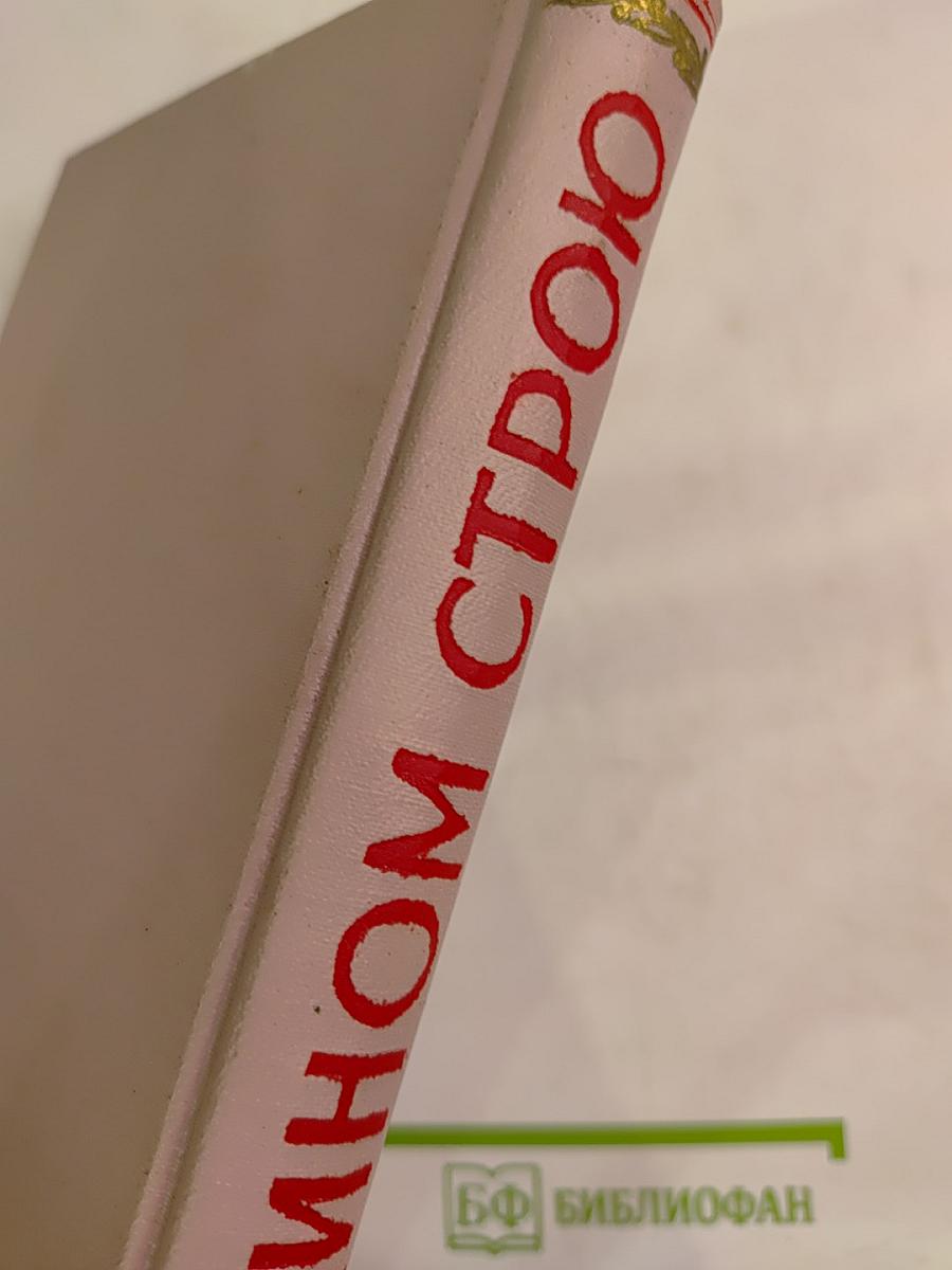 В едином строю