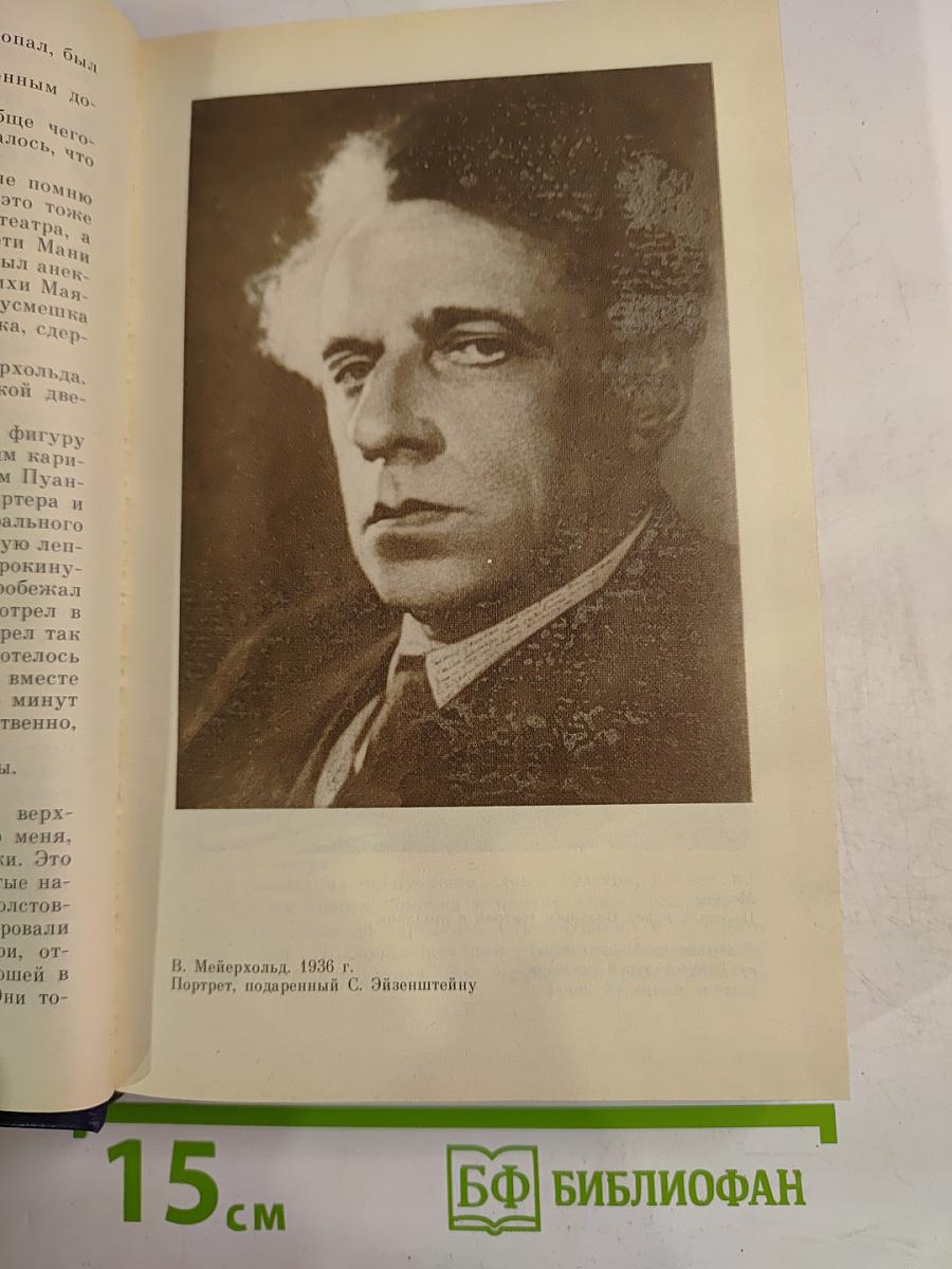Мейерхольд. Том 2. Пять лет с Мейерхольдом. Встречи с Пастернаком