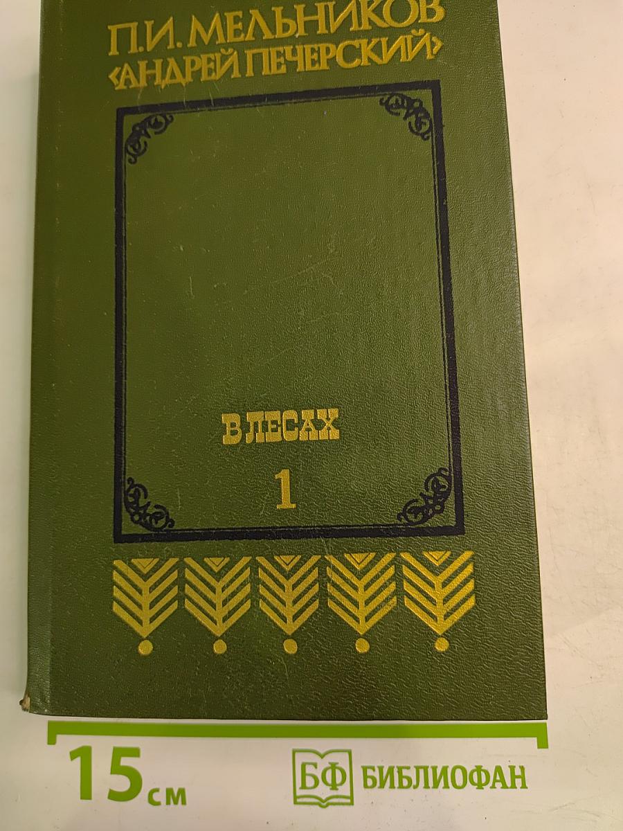 В Лесах. Книга первая
