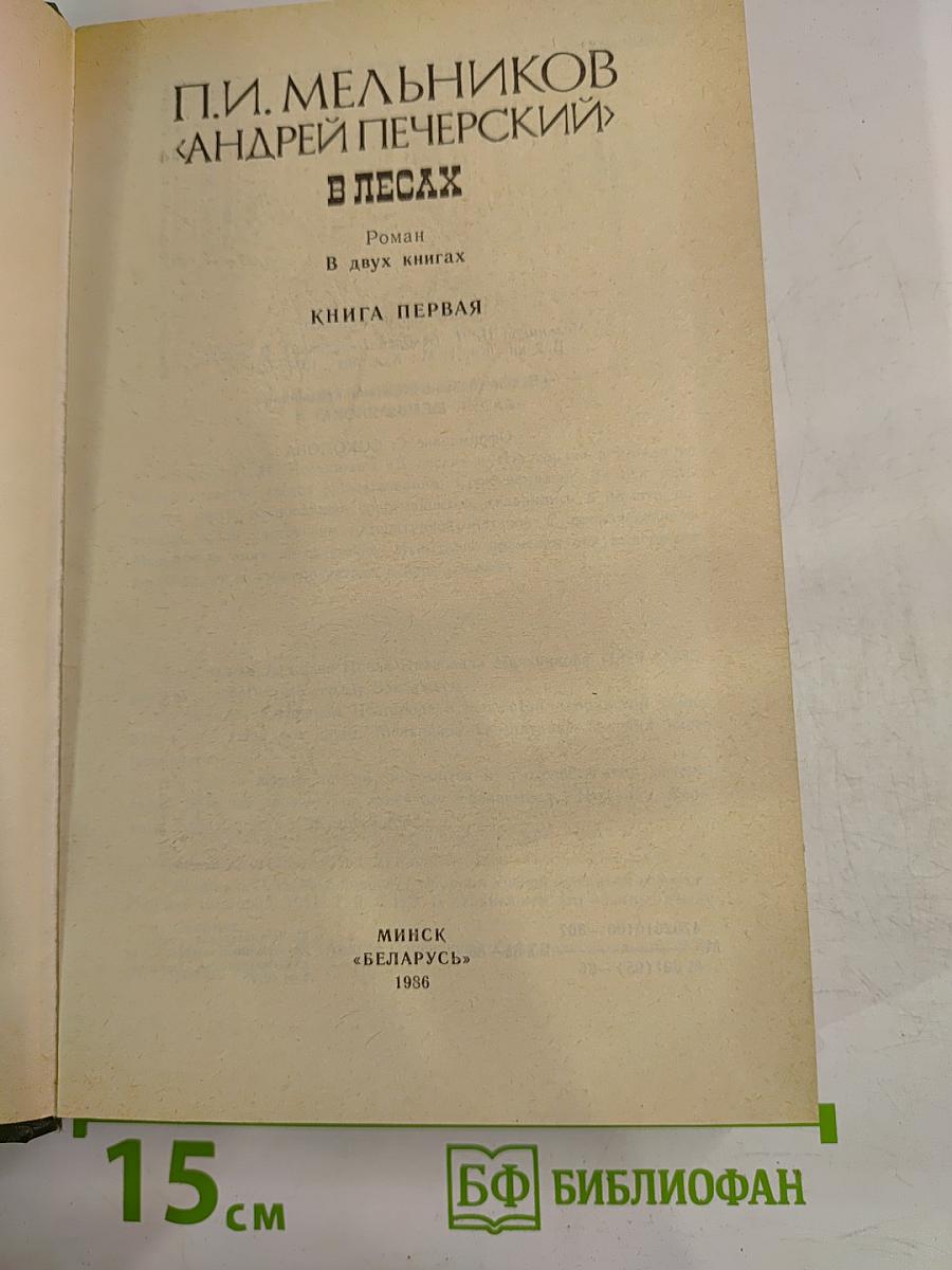 В Лесах. Книга первая