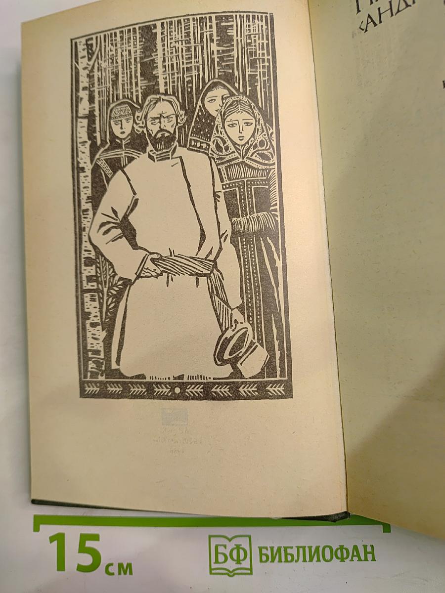 В Лесах. Книга первая