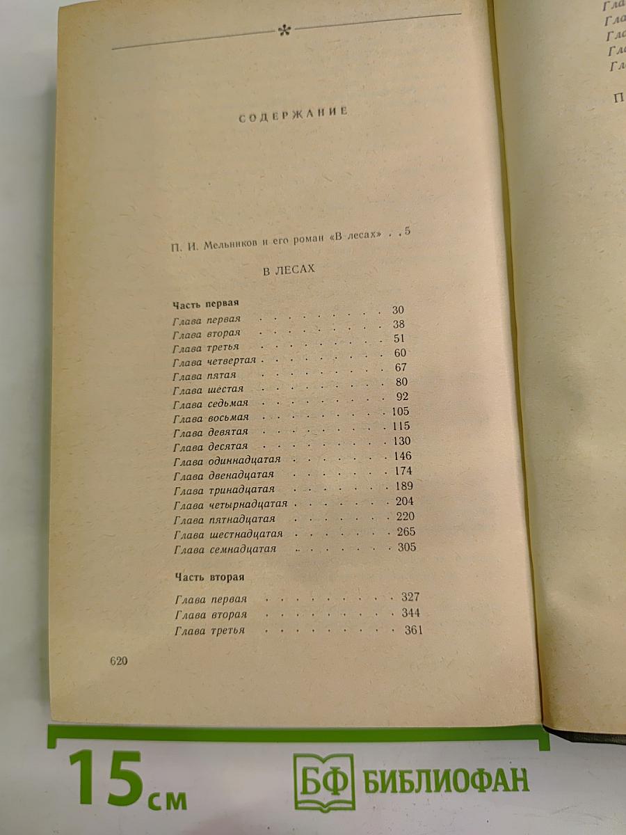 В Лесах. Книга первая