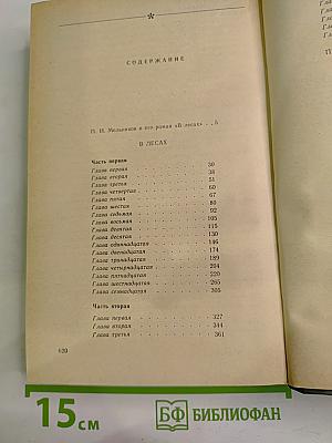 В Лесах. Книга первая