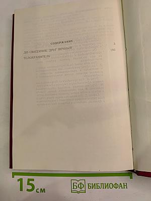 До свидания, друг вечный. Телохранитель