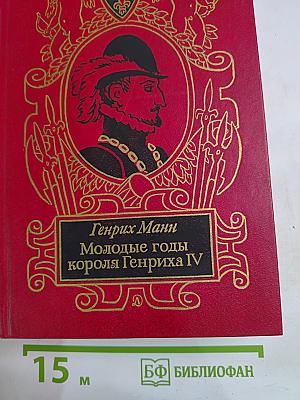 Молодые годы короля Генриха IV