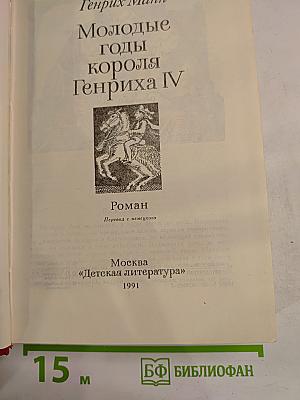 Молодые годы короля Генриха IV