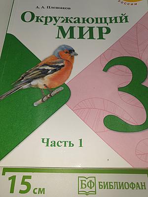 Окружающий МИР