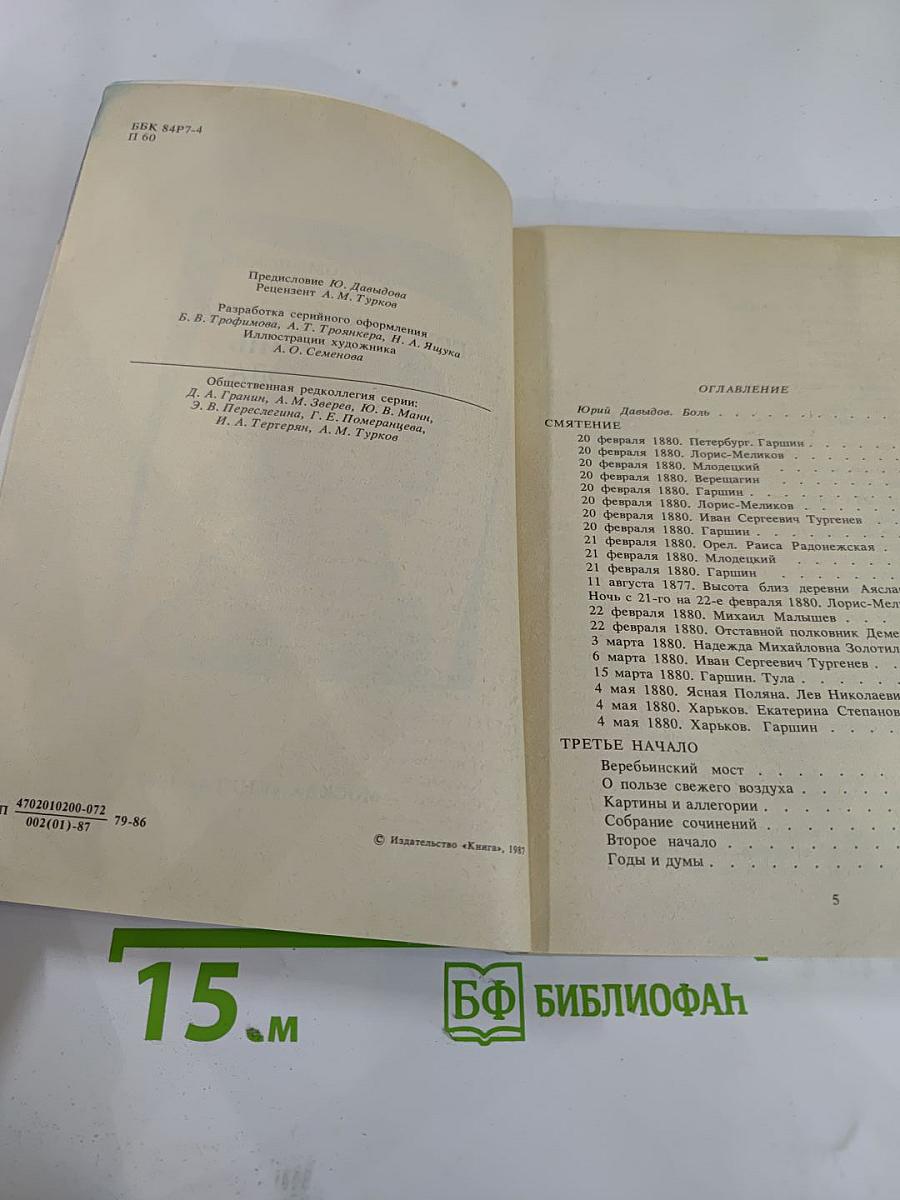 Грустный солдат, или Жизнь Всеволода Гаршина