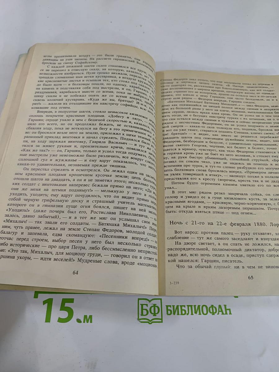 Грустный солдат, или Жизнь Всеволода Гаршина