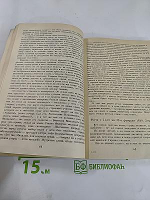 Грустный солдат, или Жизнь Всеволода Гаршина