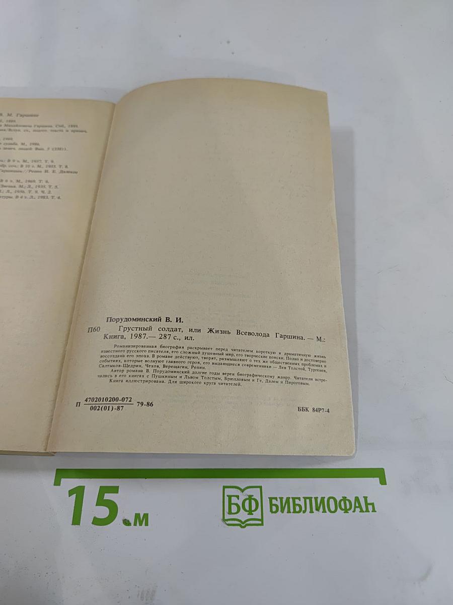 Грустный солдат, или Жизнь Всеволода Гаршина