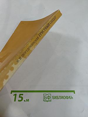 Грустный солдат, или Жизнь Всеволода Гаршина