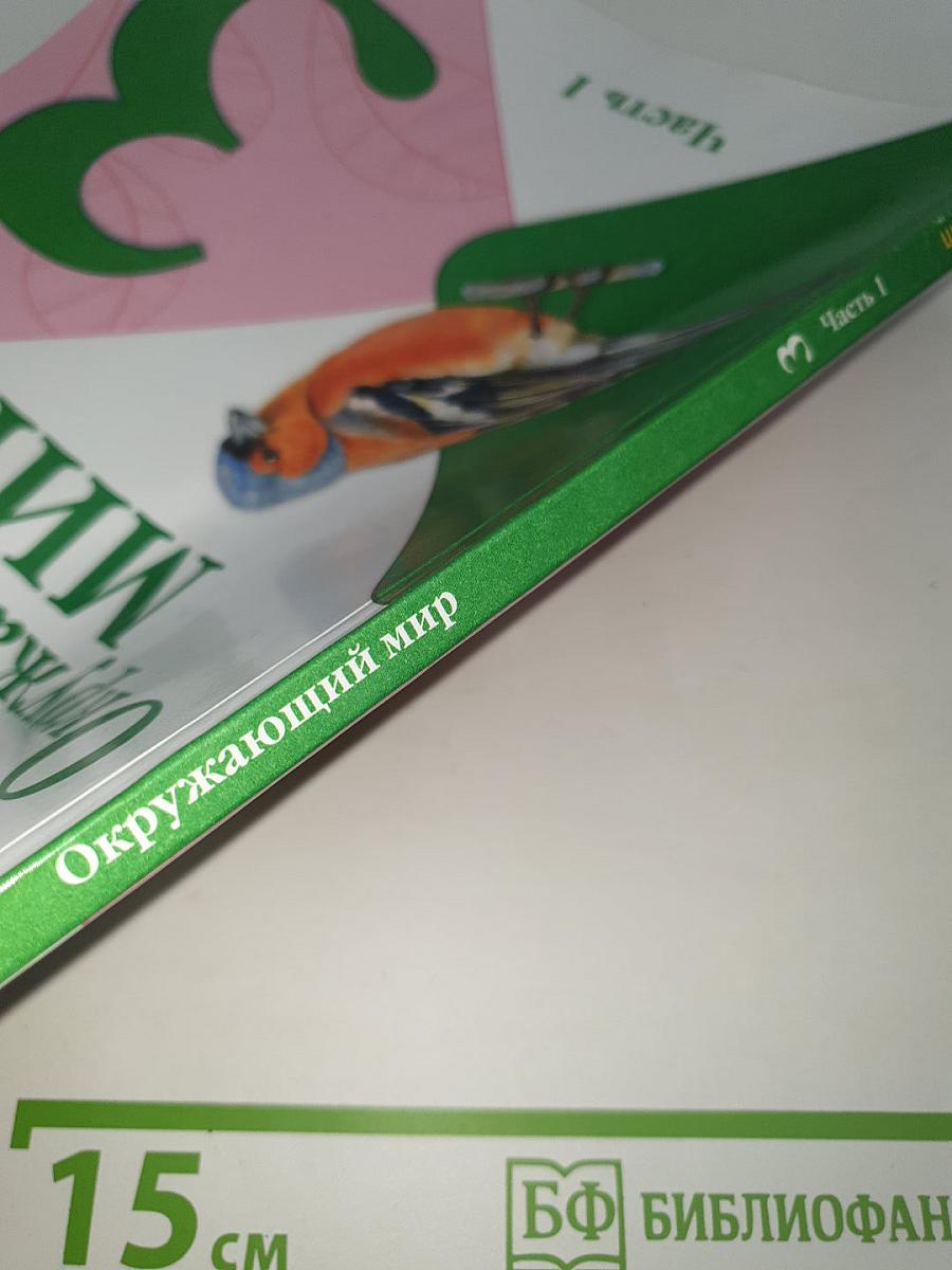 Окружающий МИР