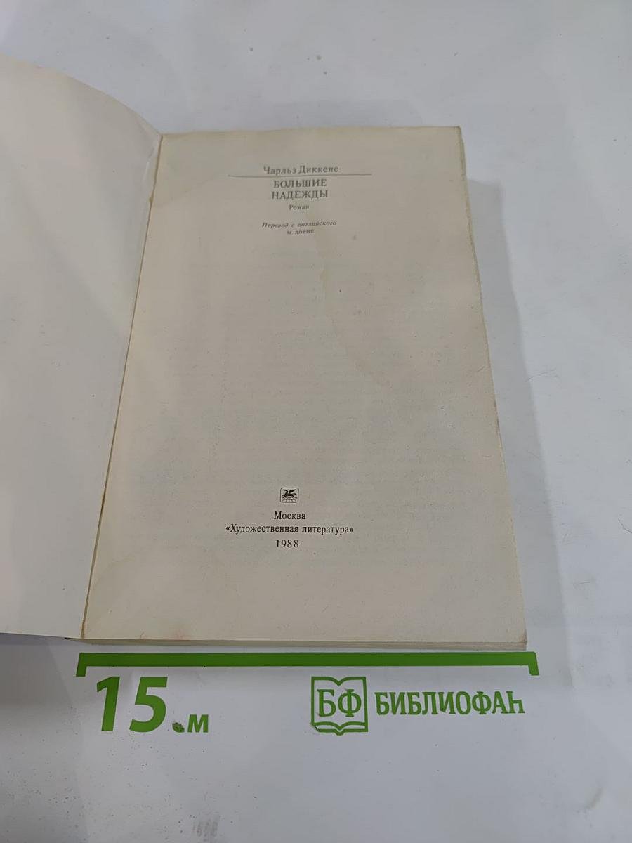 Большие надежды